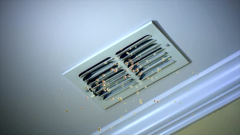 Best Residential Air Duct Cleaning  in Erin, TN